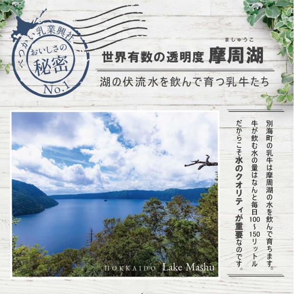 人気! バター チーズ 詰め合わせ お楽しみ セットA！ 4種 計 600g 酪農日本一・別海町 酪農工場産直（7月発送）G-1204