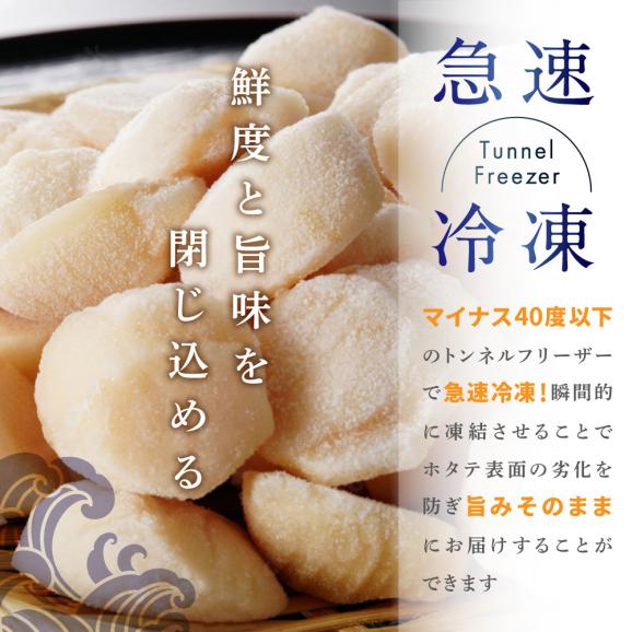 【訳あり】訳あり 北海道 野付のホタテ 500g04