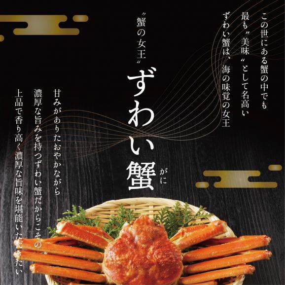 訳ありズワイ蟹 2尾（計1.4kg）【SS000HZ01】02