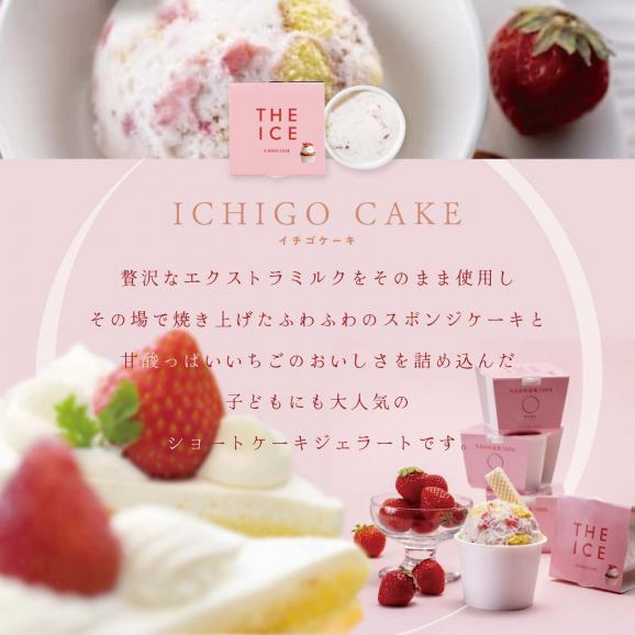 【毎月2回定期便】【THE ICE】5種食べ比べ 5個セット【CJM020206】04