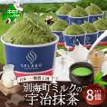 贅沢素材・ジェラート 別海町ミルクの宇治抹茶　8個セット 【EK0000009】