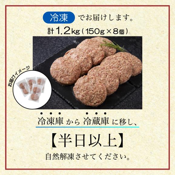 別海プラウド【ビーフハンバーグ】150g×8個入【KH0000004】02