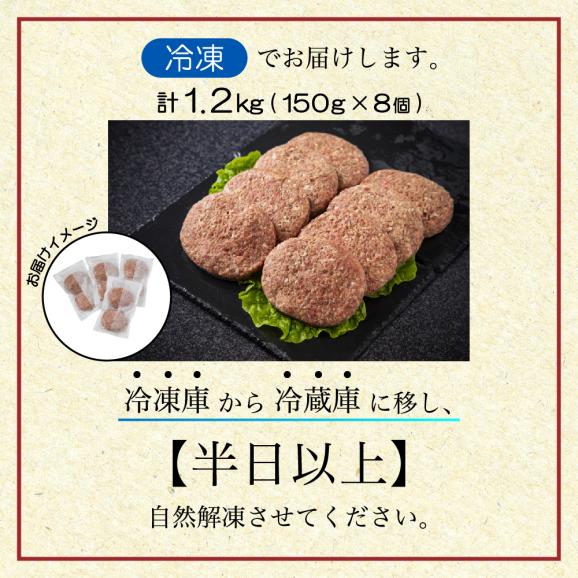 別海プラウド【ビーフ＆ポークハンバーグ】150g×8個入【KH0000005】02