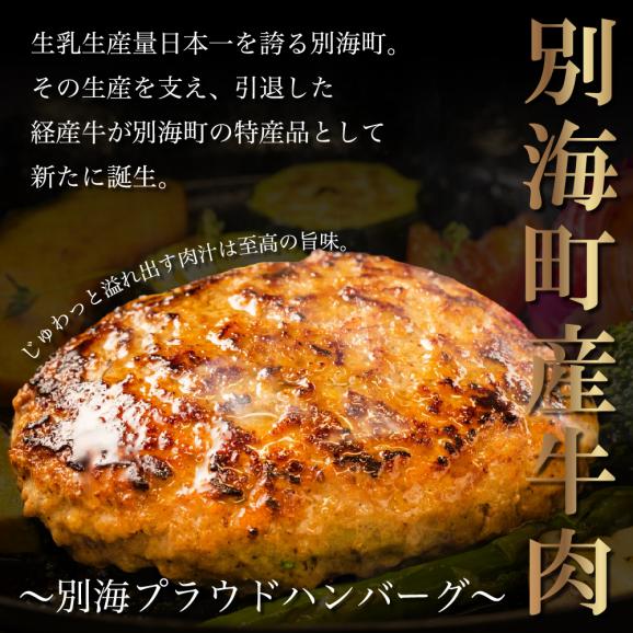 別海プラウド ビーフハンバーグ ビーフ＆ポークハンバーグ 150g×各4個【KH0000006】05