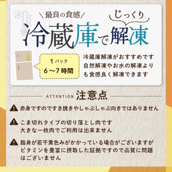 北海道 別海町 産 牛肉 切り落とし 1kg（200g×5パック）【CO0000013】06