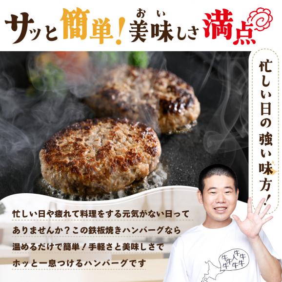  北海道 別海町 産 牛 入り 合挽 ハンバーグ （80g×20個） 【NB000JA00】02
