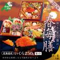 2026 お正月 北海道海鮮 おせち 北の春海膳 （はるみぜん） いくら醤油漬け（250g）【KS000DDNQ】