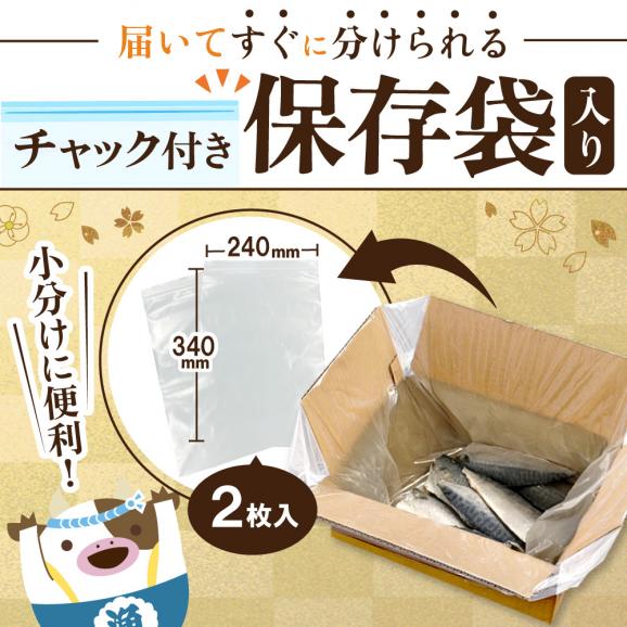 【先行予約】今秋以降発送予定【訳あり】無塩 サバ フィレ 2kg02