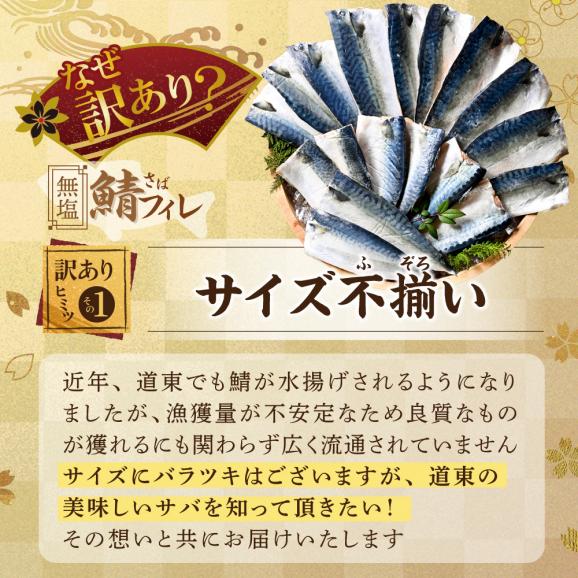 【先行予約】今秋以降発送予定【訳あり】無塩 サバ フィレ 2kg03