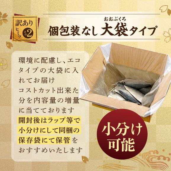 【先行予約】今秋以降発送予定【訳あり】無塩 サバ フィレ 2kg04