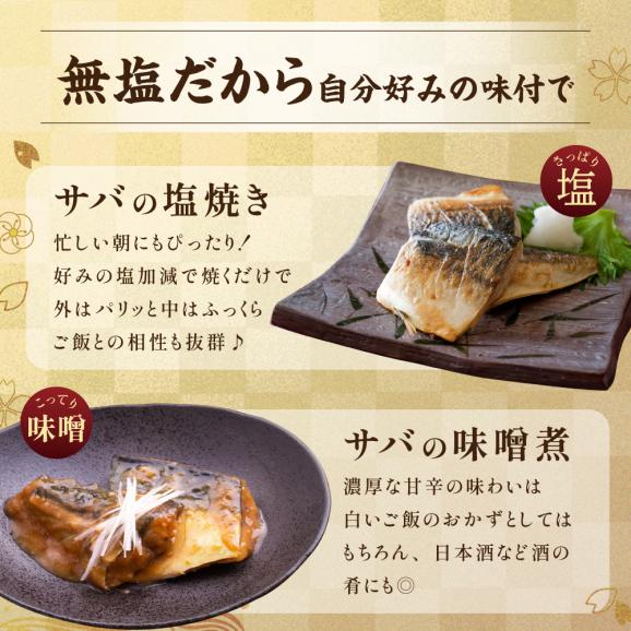 【先行予約】今秋以降発送予定【訳あり】無塩 サバ フィレ 2kg06