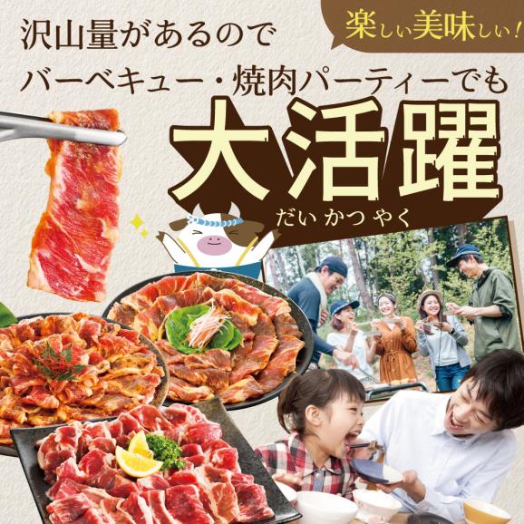  北海道 別海町 3種 の 味付け カルビ 1.2kg（塩400g×1パック・味噌400g×1パック・醤油400g×1パック）【NS0000047】06