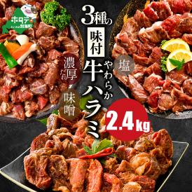味付け ハラミ 食べ比べ 3種 2.4kg（400g×6パック） 【NS0000032】