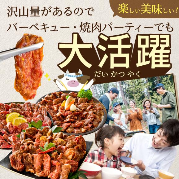 北海道 別海町 3種 の 味付け ハラミ 1.2kg（塩400g×1パック・味噌400g×1パック・醤油400g×1パック）【NS0000031】06