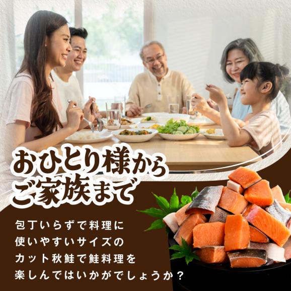 北海道産 カット秋鮭 約 1.2kg （600g×2） 天然 無塩 訳あり サイズ不揃い【KT0000020】02
