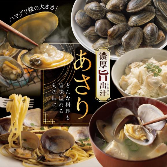北海道 野付産 天然 冷凍あさり  4kg (500g×8)【UY0000021】02