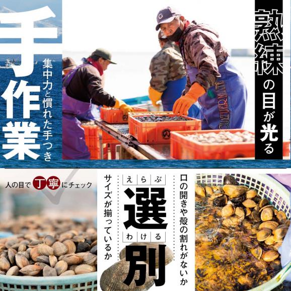 北海道 野付産 天然 冷凍あさり  4kg (500g×8)【UY0000021】03