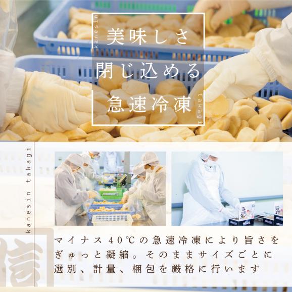 【訳あり】大人気 ！ホタテ 訳あり TVで話題 ほたて といえば 別海町 冷凍 帆立 大中粒 800g (約30-40玉)　KT000002404