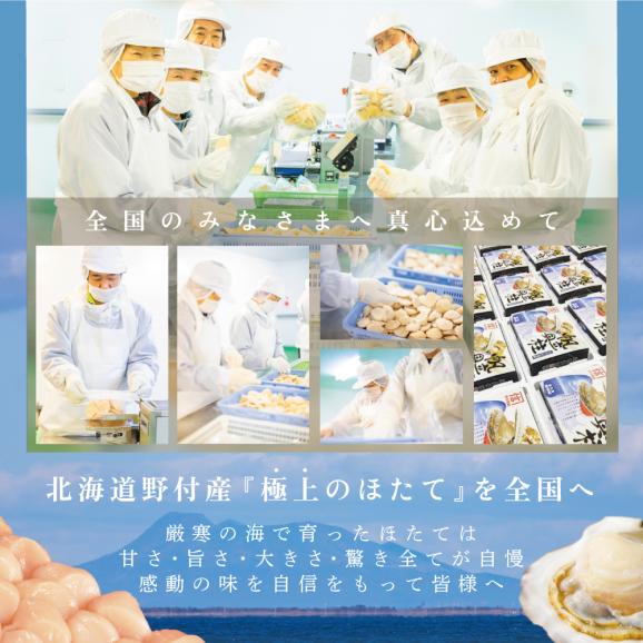 【訳あり】大人気 ！ホタテ 訳あり TVで話題 ほたて といえば 別海町 冷凍 帆立 大中粒 800g (約30-40玉)　KT000002406
