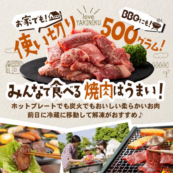 別海牛 焼肉用 厚切りカルビ 500g【KK000LA01】03
