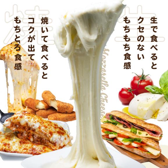 【森永乳業】モッツァレラチーズ 900g(100g×9P) 【NA0000002】02