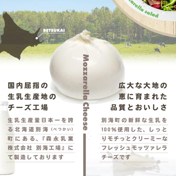 【森永乳業】モッツァレラチーズ 900g(100g×9P) 【NA0000002】04