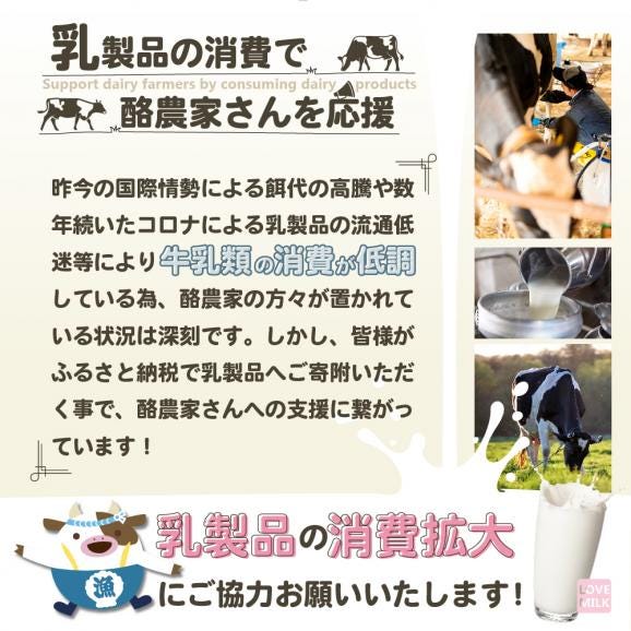【森永乳業】モッツァレラチーズ 900g(100g×9P) 【NA0000002】05