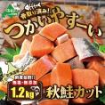 北海道産 骨取り済 カット秋鮭 約 1.2kg （600g×2） 天然 無塩 訳あり サイズ不揃い【KT0000033】