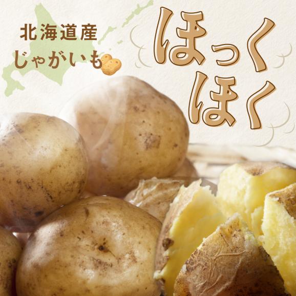 2025年10～12月発送 北海道別海町産 じゃがいも10kg(１種おまかせ)【JV0000001】(きたあかり、ワセシロ、男爵、メークイーン、レッドムーン）02