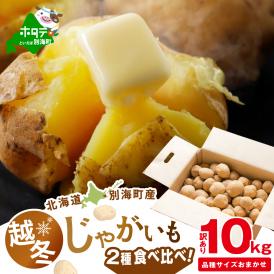2026年3～4月発送 北海道別海町産 越冬じゃがいも10kg(２種おまかせ) 【JV0000004】 （きたあかり、ワセシロ、男爵、メークイーン、レッドムーン）