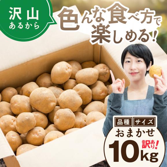 2026年3～4月発送 北海道別海町産 越冬じゃがいも10kg(２種おまかせ) 【JV0000004】 （きたあかり、ワセシロ、男爵、メークイーン、レッドムーン）03