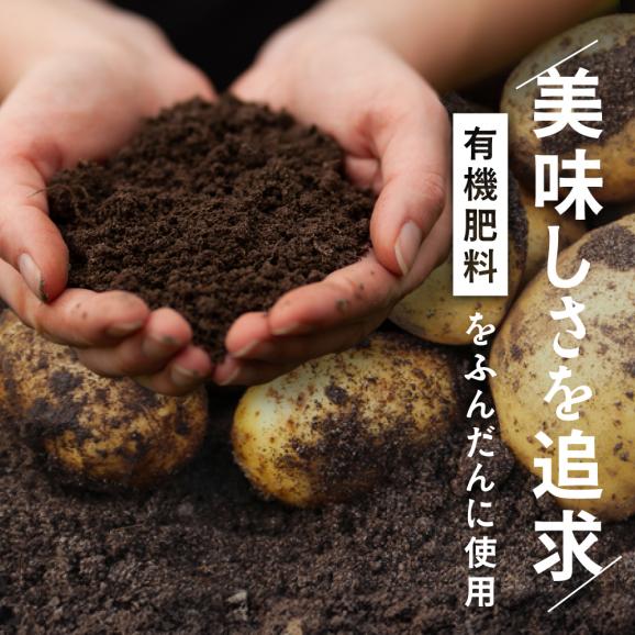 2026年3～4月発送 北海道別海町産 越冬じゃがいも10kg(２種おまかせ) 【JV0000004】 （きたあかり、ワセシロ、男爵、メークイーン、レッドムーン）06