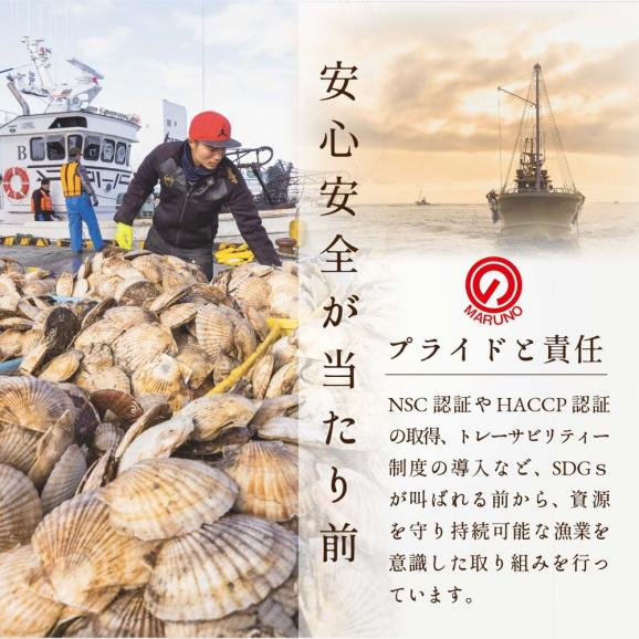 【毎月7ヶ月定期便】★NH北海道 野付産 冷凍ホタテ 貝柱 特大（Mサイズ）ホタテ500ｇ05