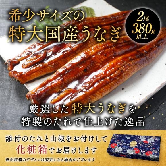 （6月）国産 特大 特上うなぎ(190g 2尾)02
