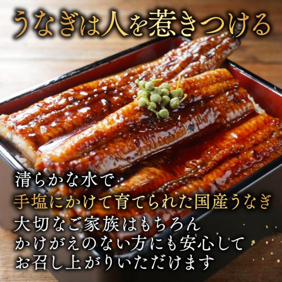 （6月）国産 特大 特上うなぎ(190g 2尾)04