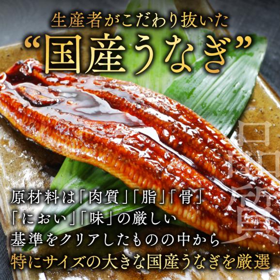 （6月）国産 特大 特上うなぎ(190g 2尾)05