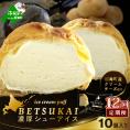 北海道 別海町 【12か月定期便】 BETSUKAI 濃厚 シューアイス 10個 セット【NSM120001】