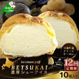 北海道 別海町 【12か月定期便】 BETSUKAI 濃厚 シューアイス 10個 セット【NSM120001】
