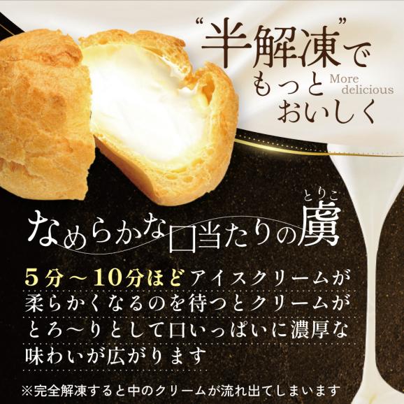 北海道 別海町 【12か月定期便】 BETSUKAI 濃厚 シューアイス 10個 セット【NSM120001】05