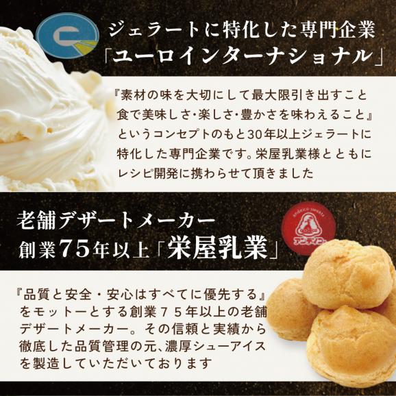 北海道 別海町 【12か月定期便】 BETSUKAI 濃厚 シューアイス 10個 セット【NSM120001】06