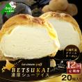 北海道 別海町 【12か月定期便】BETSUKAI濃厚シューアイス20個セット【NSM120002】