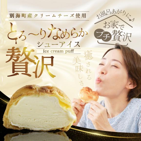 北海道 別海町 【12か月定期便】BETSUKAI濃厚シューアイス20個セット【NSM120002】02