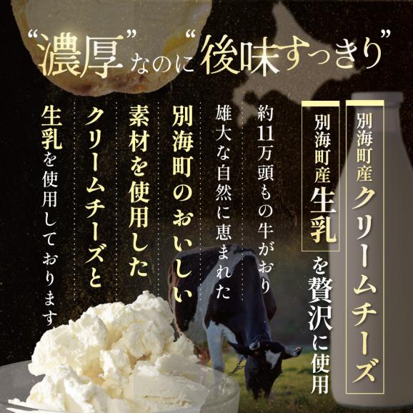 北海道 別海町 【12か月定期便】BETSUKAI濃厚シューアイス20個セット【NSM120002】03