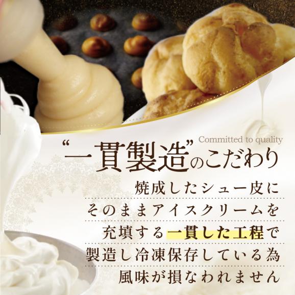 北海道 別海町 【12か月定期便】BETSUKAI濃厚シューアイス20個セット【NSM120002】04