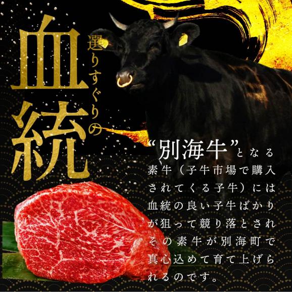 【12か月定期便】★KZ 別海牛生ハンバーグ1.8kg(150g×12個)【NSM120003】04