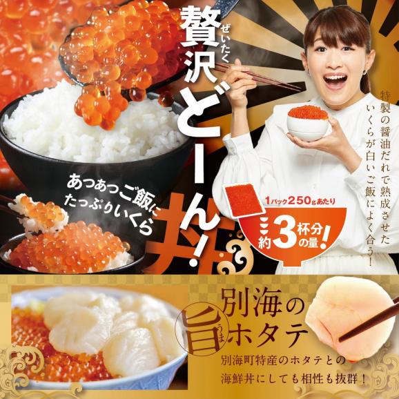 ロシア産 鮭いくら醤油漬け 500g (250g×2箱)05