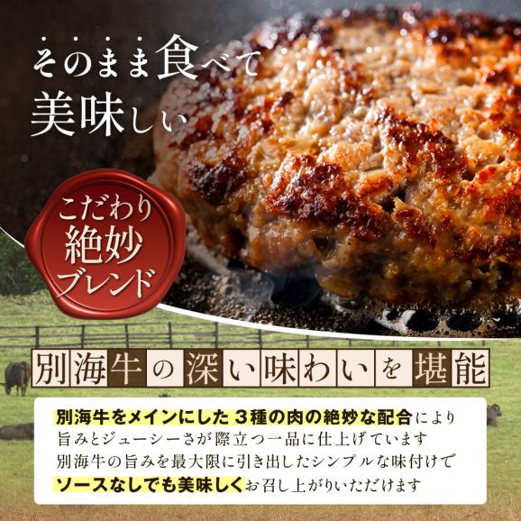 北海道 別海町産 別海牛入り合挽ハンバーグ（80g&times;12個） 【NB000JB00】05
