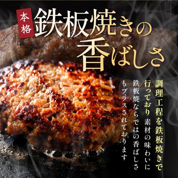 北海道 別海町産 別海牛入り合挽ハンバーグ(80g×12個)×2箱【NB002JB00】04
