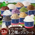 贅沢素材・12種のジェラート【EK0000015】(GELATERIA GELABO)