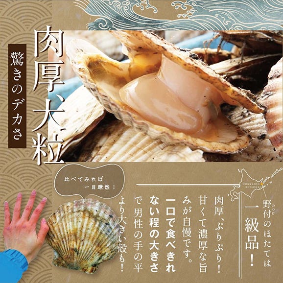 北海道野付産 特大ほたて 500g 個包装(10〜13⽟前後)(Lサイズ)【KN0000025】03